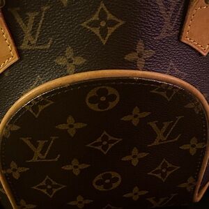 Louis Vuitton Brown and Tan Monogram Bag